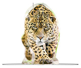 Ravensburger 18051 4S Vision: Wild Cats