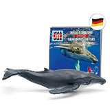 tonies Hörfiguren für Toniebox: was IST was Hörspiel – Wale und Delfine / Geheimnisse Tiefsee - ca. 79 Min - ab 6 Jahre - DEUTSCH