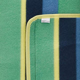 AmazonBasics - Picknickdecke, campingdecke mit wasserdichter Unterseite, 150 x 195 cm