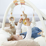 Fehn 160963 3-D-Activity-Nest Rainbow / Besonders weicher Spielbogen mit 5 abnehmbaren Spielzeugen für Babys Spiel & Spaß von Geburt an / Maße: Ø85cm