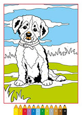 Malen nach Zahlen: Tierkinder