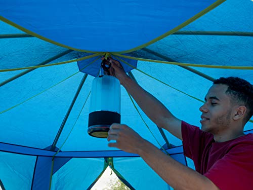 Coleman OctaGo 3 Personen Festivalzelt, Kuppelzelt, 3 Mann Campingzelt wasserdicht mit eingenähter Bodenplane